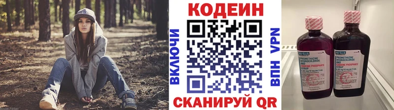 Купить закладки  Ефремов  Кодеиновый сироп Lean Purple Drank 