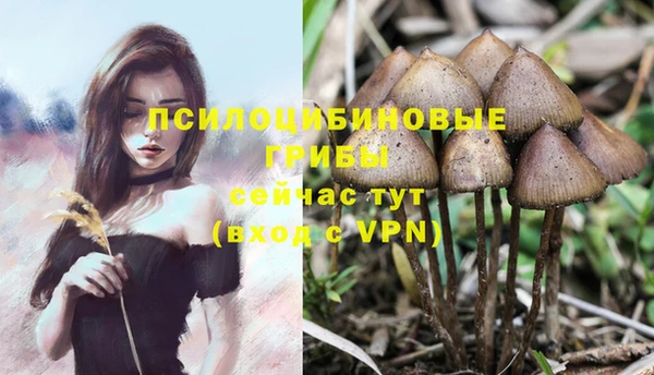 дурь Медвежьегорск
