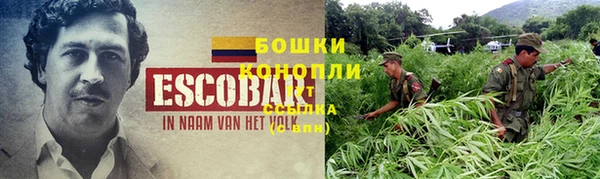 дурь Медвежьегорск