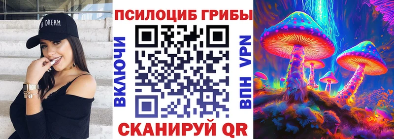 Галлюциногенные грибы Psilocybine cubensis  Купить  Ефремов 